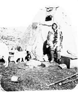 Image of Inuit woman and dogs by round-top tent